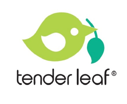 Tender Leaf Toys