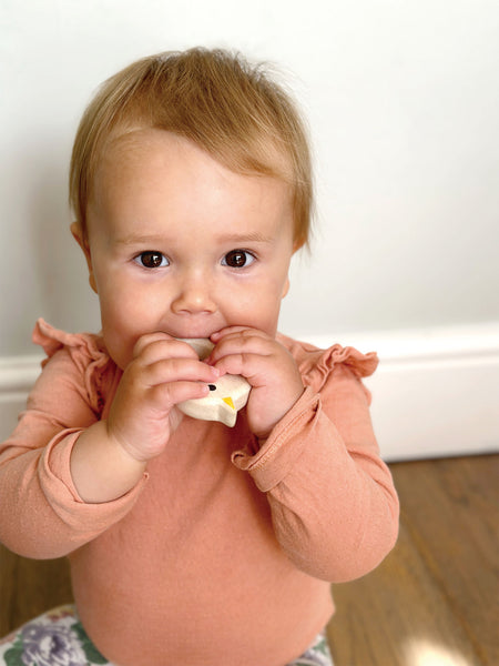 Bird & Kitten Teethers